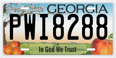 GA license plate PWI8288