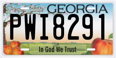 GA license plate PWI8291