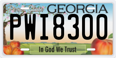GA license plate PWI8300