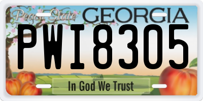 GA license plate PWI8305