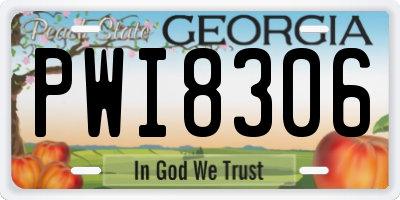 GA license plate PWI8306
