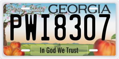 GA license plate PWI8307