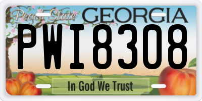 GA license plate PWI8308