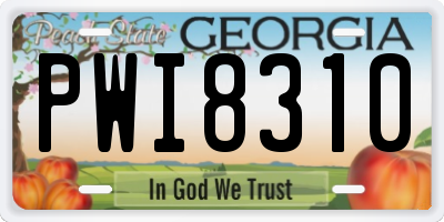 GA license plate PWI8310