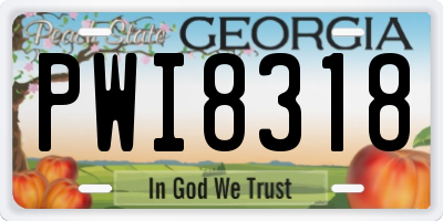 GA license plate PWI8318