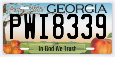 GA license plate PWI8339