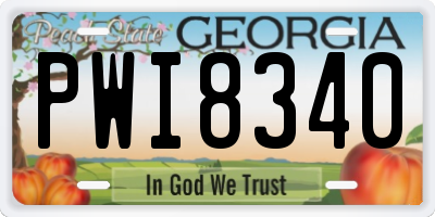 GA license plate PWI8340