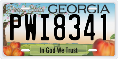 GA license plate PWI8341