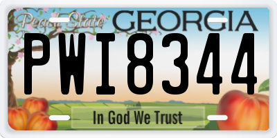 GA license plate PWI8344