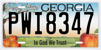 GA license plate PWI8347