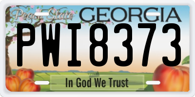 GA license plate PWI8373