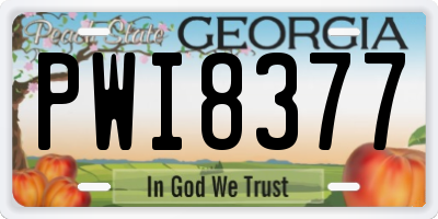 GA license plate PWI8377