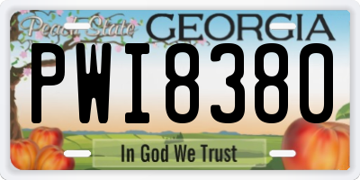 GA license plate PWI8380