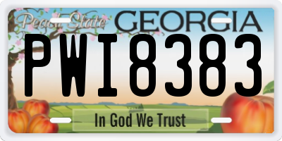 GA license plate PWI8383