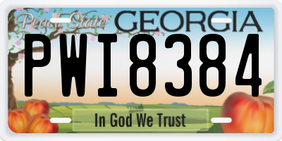 GA license plate PWI8384