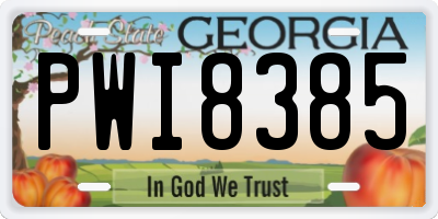 GA license plate PWI8385