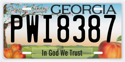 GA license plate PWI8387