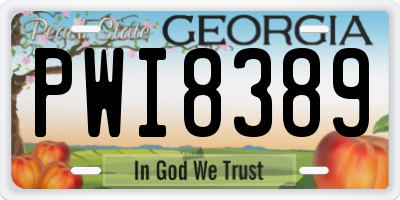 GA license plate PWI8389