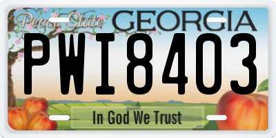 GA license plate PWI8403