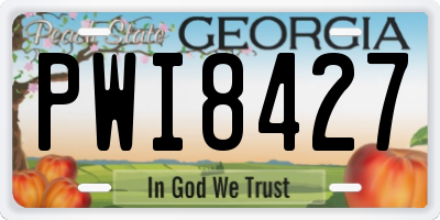 GA license plate PWI8427