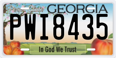 GA license plate PWI8435
