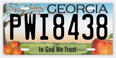 GA license plate PWI8438