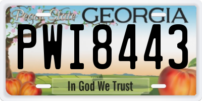 GA license plate PWI8443