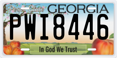 GA license plate PWI8446