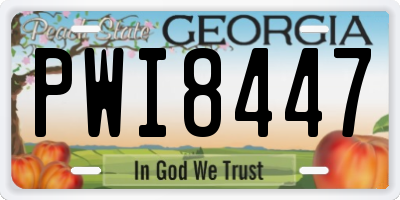 GA license plate PWI8447