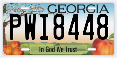 GA license plate PWI8448