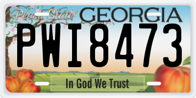 GA license plate PWI8473