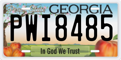 GA license plate PWI8485