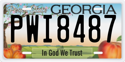 GA license plate PWI8487