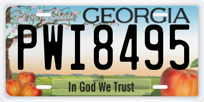 GA license plate PWI8495