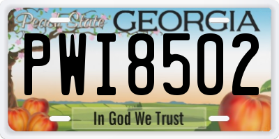 GA license plate PWI8502