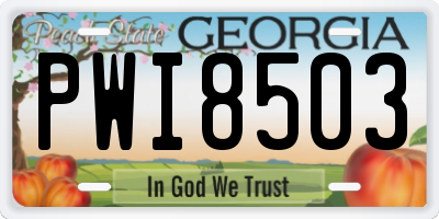 GA license plate PWI8503