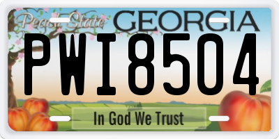 GA license plate PWI8504