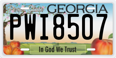 GA license plate PWI8507