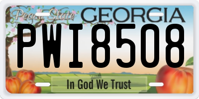 GA license plate PWI8508