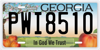 GA license plate PWI8510