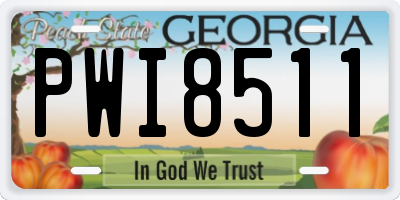 GA license plate PWI8511