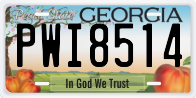 GA license plate PWI8514