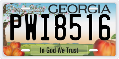 GA license plate PWI8516