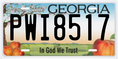 GA license plate PWI8517