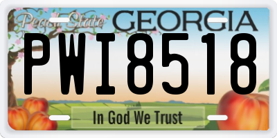 GA license plate PWI8518
