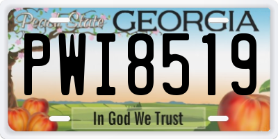 GA license plate PWI8519