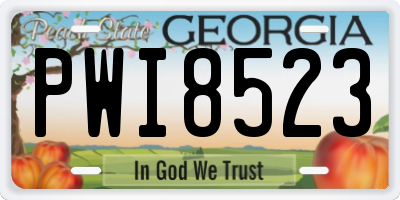 GA license plate PWI8523