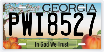 GA license plate PWI8527