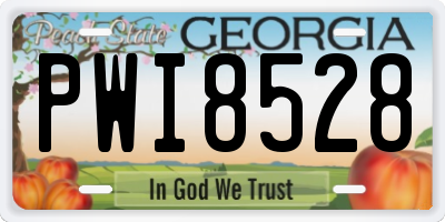 GA license plate PWI8528