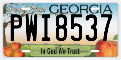 GA license plate PWI8537